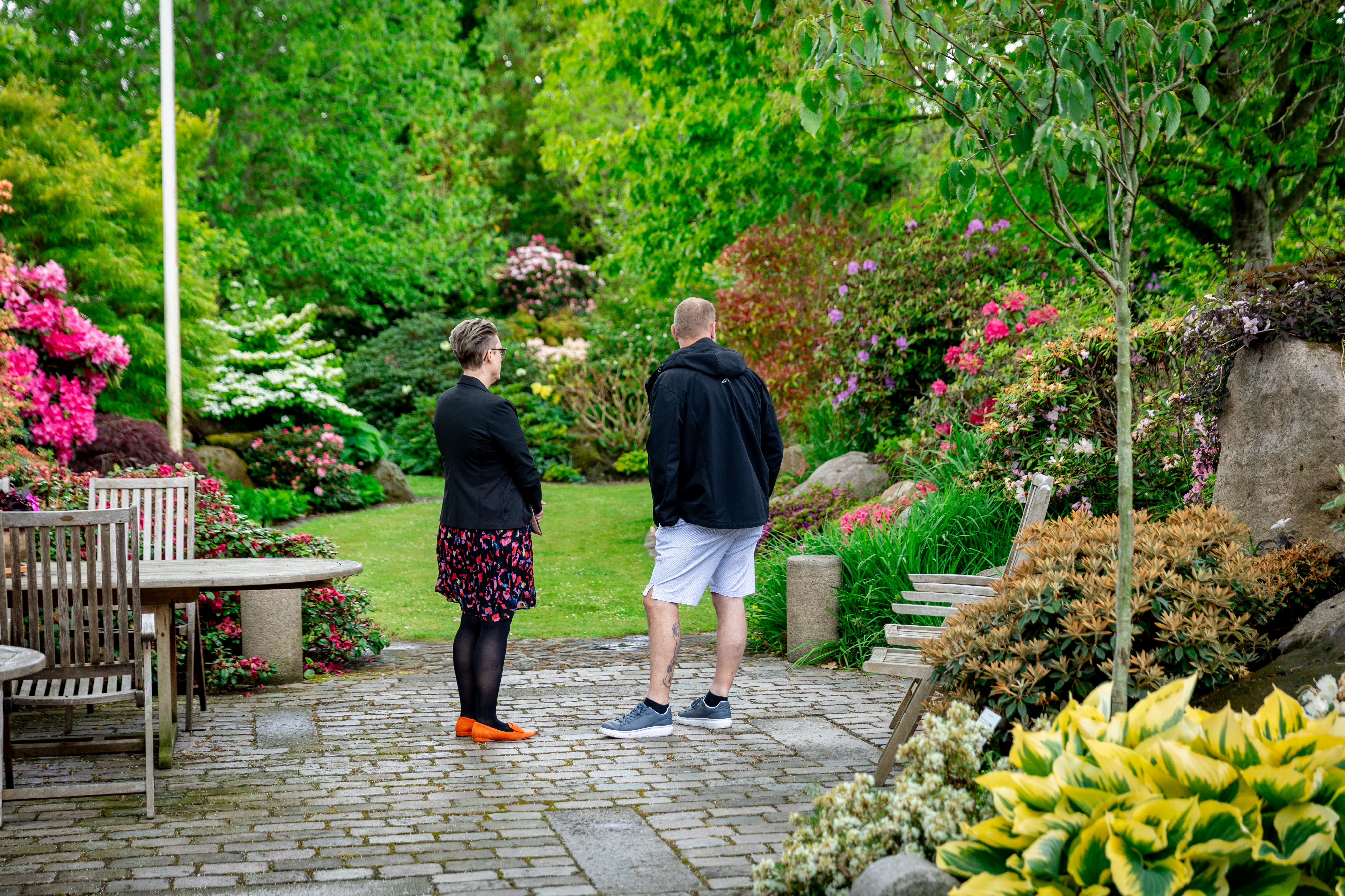 Havevandring med Dennis i dahlia haven og kagetapas i Grillhytten