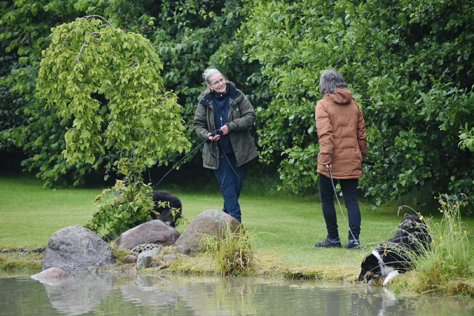 Havevandring med Dennis i junihaven & kagetapas i Grillhytten