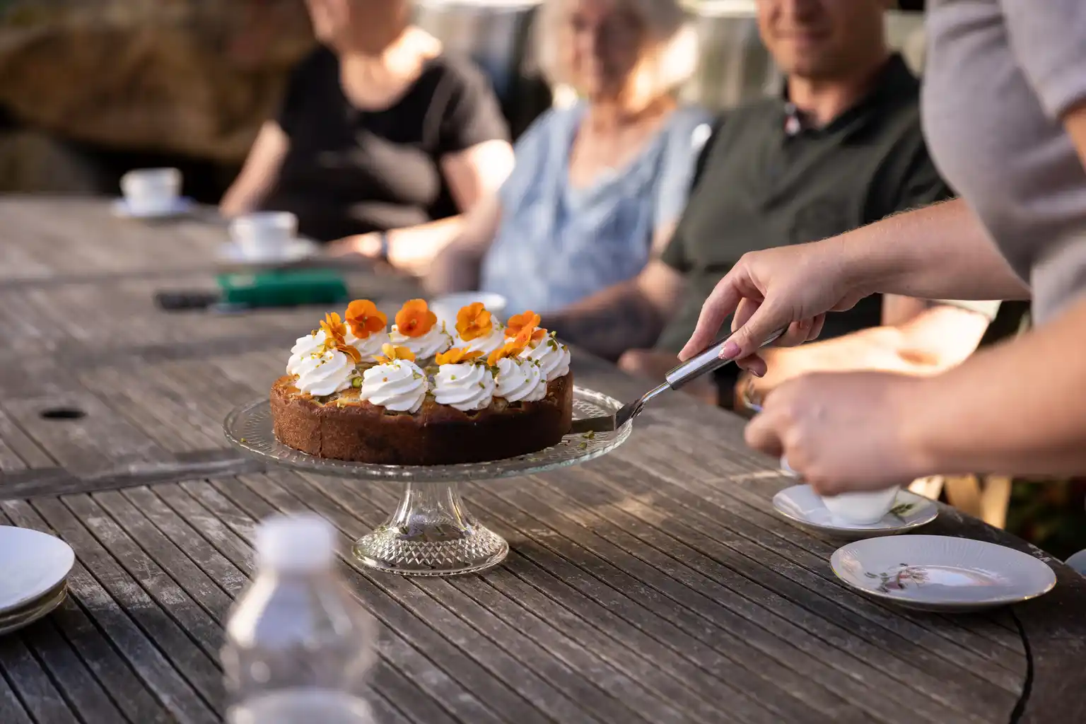 Stenmaglehavens langbords kagebord i det grønne